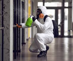 Best Emergency Mold Remediation  in Newport, OH